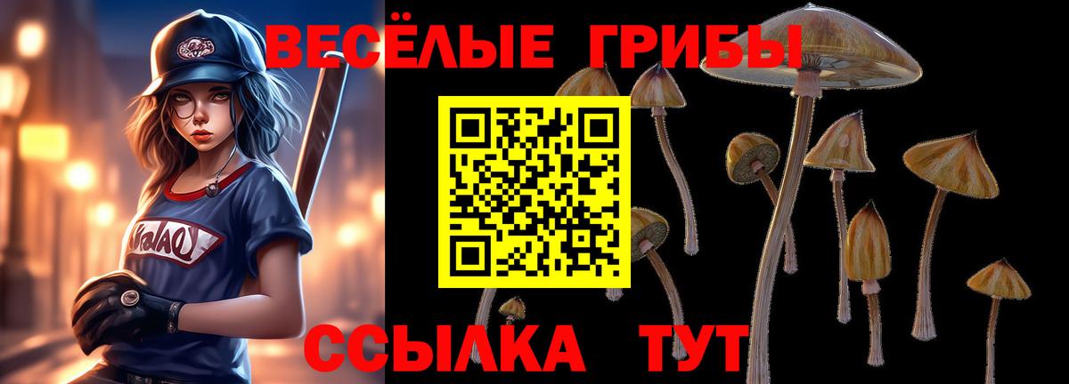 Галлюциногенные грибы прущие грибы Троицк